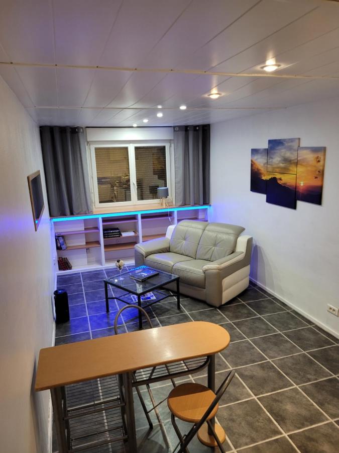 Appartement / Duplex Proche Gare Part-Dieu 里昂 外观 照片