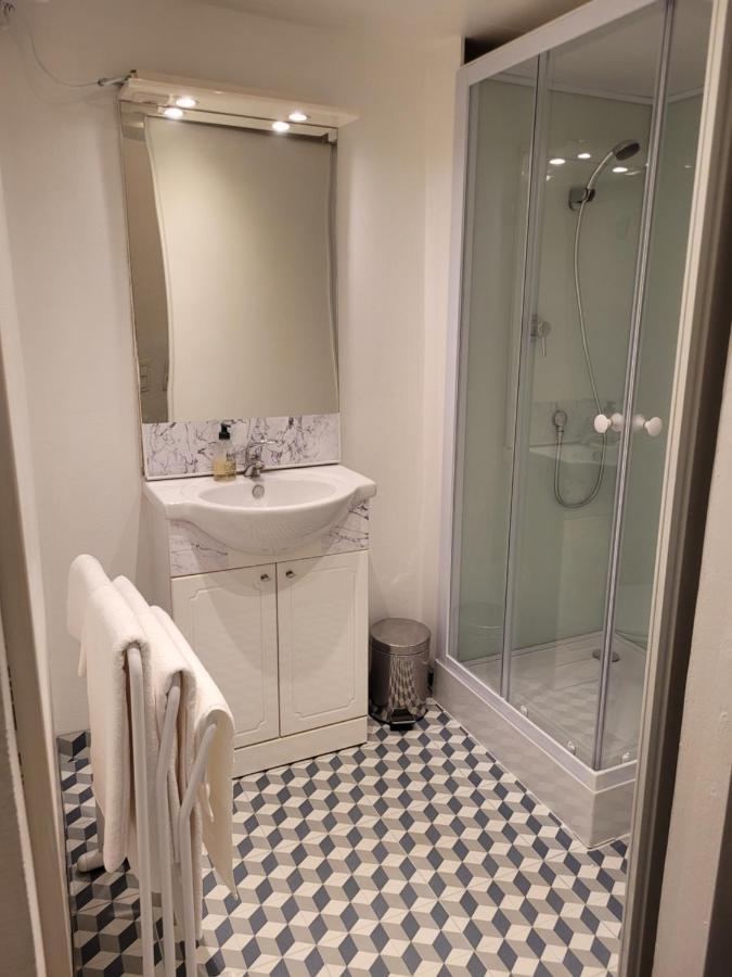 Appartement / Duplex Proche Gare Part-Dieu 里昂 外观 照片