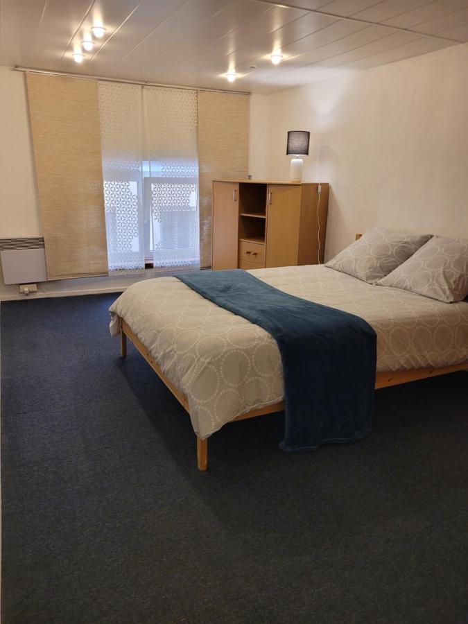 Appartement / Duplex Proche Gare Part-Dieu 里昂 外观 照片